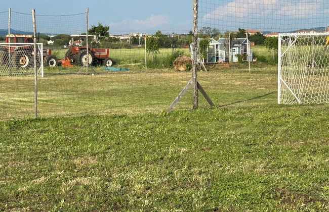 Fattoria Palazzeta Pet & Family Friendly - Foto 53