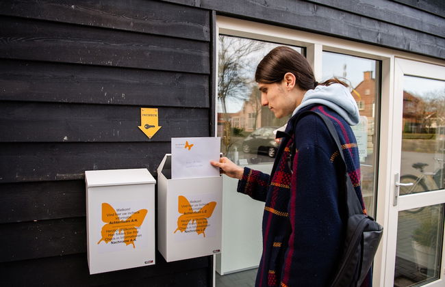 De Vlindertuin Ameland - Photo 3