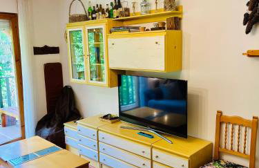 El refugio de la ardilla, apartamento Canfranc-estacion - Foto 4