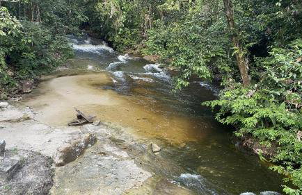 Casa Terra das Cachoeiras - Photo 39