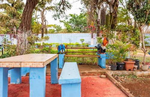 Refugio Família - Foto 28