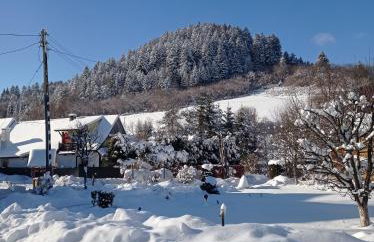 Agroturystyka-Wisłocka - Foto 17