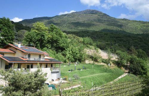 Agritur Casteller - Photo 132