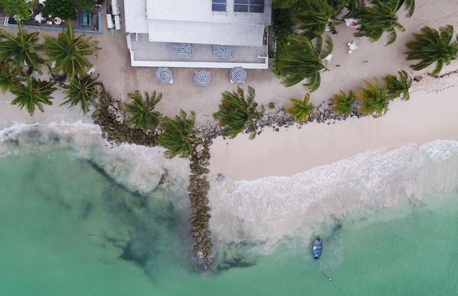 The Royal Bliss Barbados - Foto 35