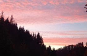 Monteurwohnung Aroba - Foto 6