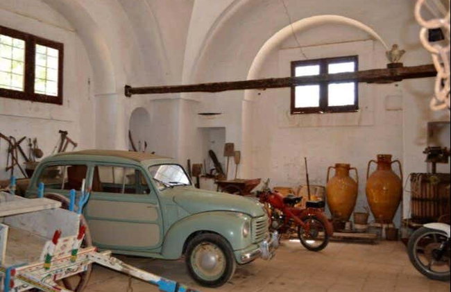 Dégustation d'huile d'olive - Photo 7