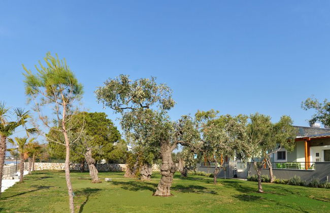 Villa Arhondula - Foto 53