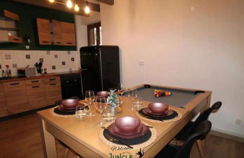 MAISON "Jungle House" 90 m2 BILLARD, RÉTROPROJECTEUR, BAR À JEUX , VINYLE, WIFI FIBRE, idéal PRO & FAMILLE à Montbrison - Foto 20