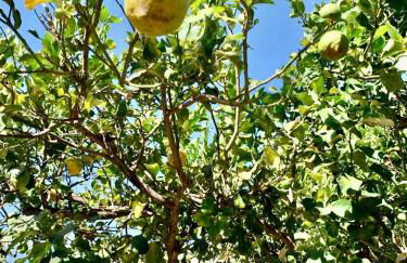 La Casetta di Marika - Foto 11