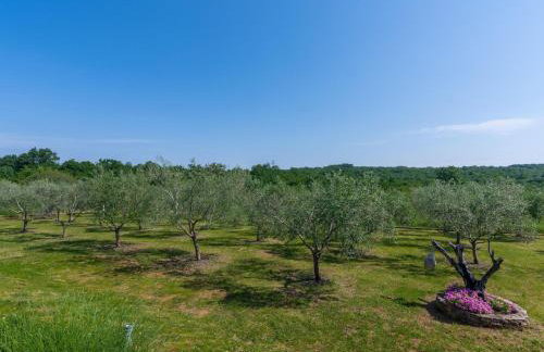 Apartment in Croatia near the Adriatic Coast - Foto 37