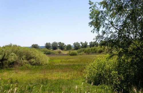 Haus an der Peene - Foto 18