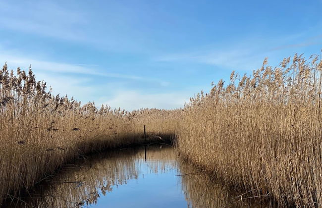 Cozy Holiday Home With Terrace - Photo 29