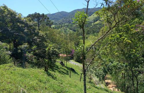 Chácara das Araucárias - Foto 55