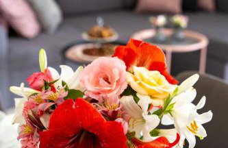 Lavanda home - Foto 36