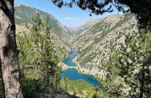 Residenza Punta Acquabella - Photo 63