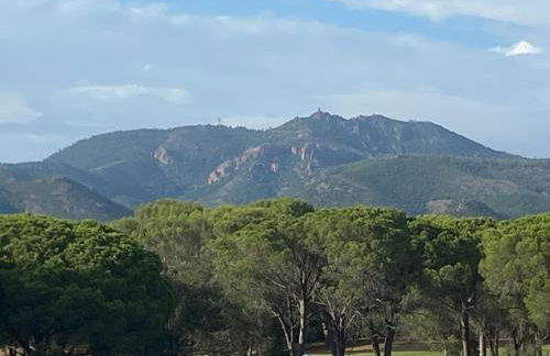 Domaine Valescure vue Piscine ou Pinede - Wifi - Foto 49