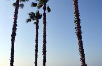 WonderStays Apartamento La Jabega - Photo 41