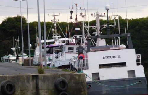 Molene 200 m plage et port - Foto 26