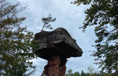 Toms Ferienhütte - Foto 6