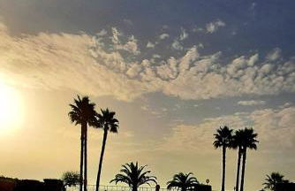 Flamingo Apart - Foto 38