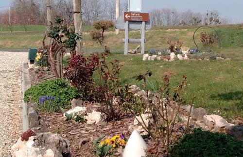 Studio apartman Šafarić - Foto 18