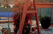 Cueva Antonia - Foto 23