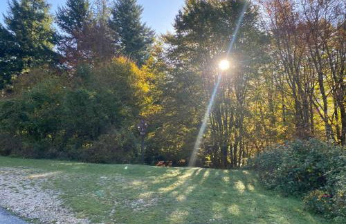 La casa nel bosco-Val Granara guesthouse - Foto 24