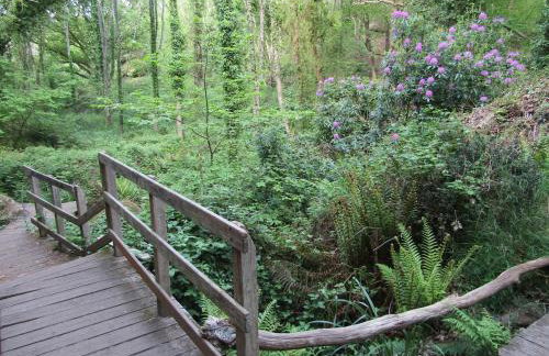 Gîte neuf avec Jacuzzi et Les plages à pied - Foto 18