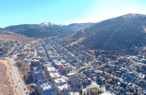 Ski in Ski out Main Street Balcony Hot Tub - Photo 36
