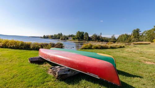 Moose Dance - Foto 4