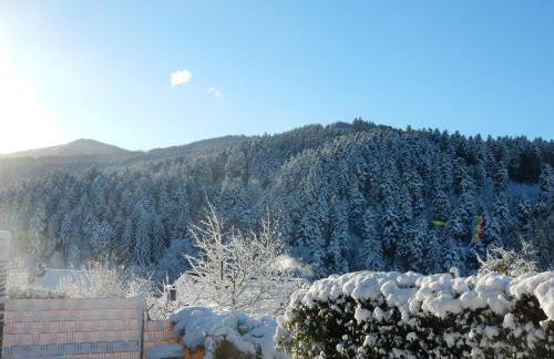 WEITBLICK "entspannen - wohlfühlen - aktiv erholen" - Foto 34