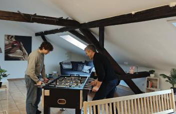 Loft mit Weiherblick im fränkischen Seenland - Foto 3