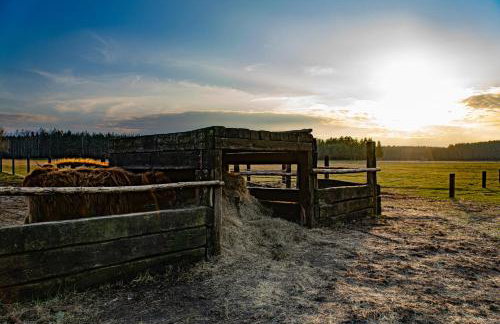 Agroturystyka "Apartament na wsi" Bory Tucholskie - Foto 17