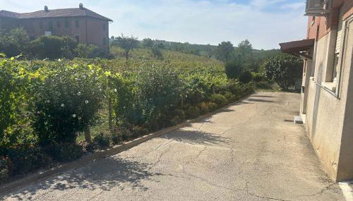 Al Boschetto - Foto 3, Garden view