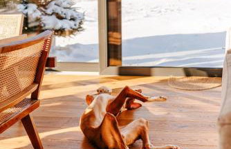 Warmia107-Butikowy dom nad jeziorem - Foto 77