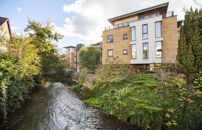 The Hawking - Foto 16