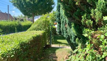 Lilo Luisa - Photo 2, Garden view