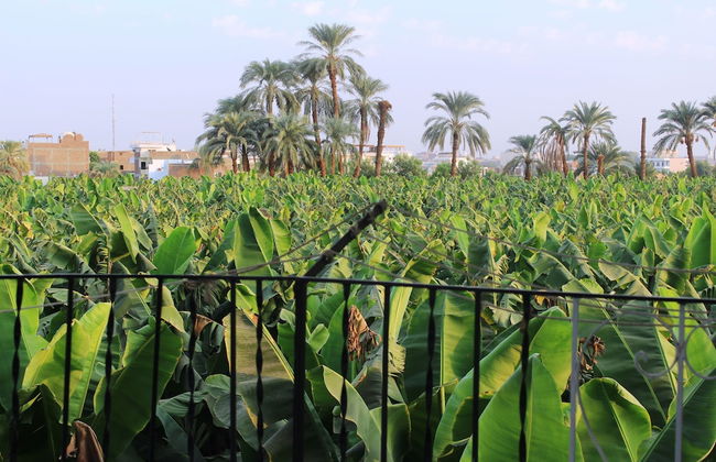 Adam Apartments - Foto 59