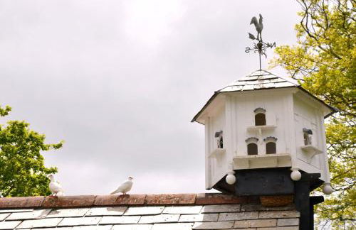 Neptunes Rest - Foto 20