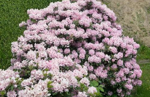 Eagles Nest on Seven Devils - Foto 46