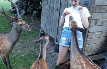 Gutshaus Pinnow - Foto 22