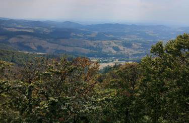 Ferienwohnung Zum Bienenstock - Photo 17