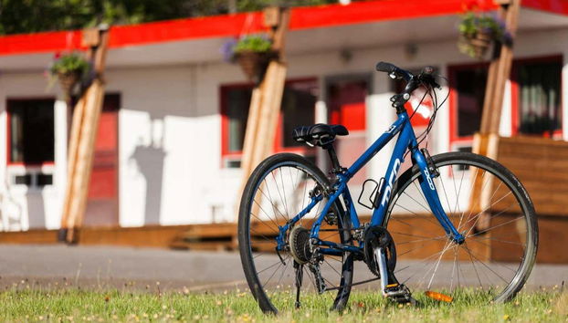 Una delle biciclette che potrete noleggiare