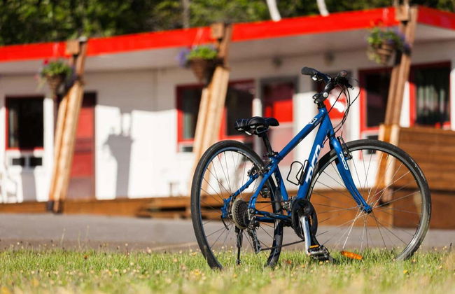Île-d'Orléans Bike Rental - Photo 3
