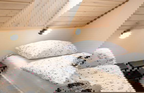 Sasek Maly Pensjonat Jazdy Konne - Foto 26