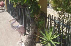 La maison Provençale avec Piscine - Foto 11