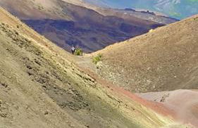 Stunning Golf Course front near the beach - Photo 47