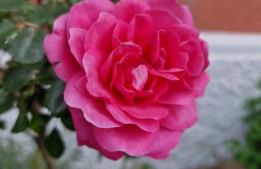 Appartement 24 - Foto 20