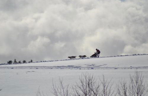 Ferienwohnung Pusteblume - Foto 31