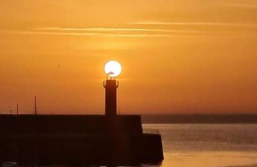 Charmant Plain pied, 200m du port, Appart 3 - Foto 25